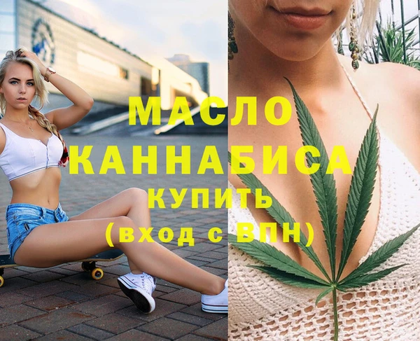 индика Галич