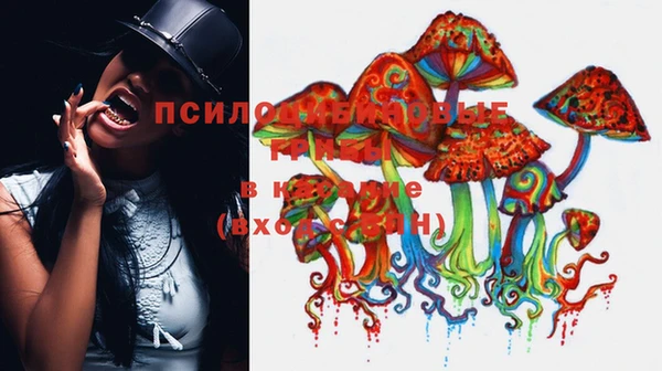 крисы Белоозёрский