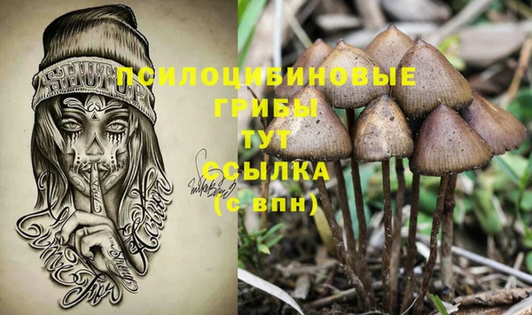 крисы Белоозёрский