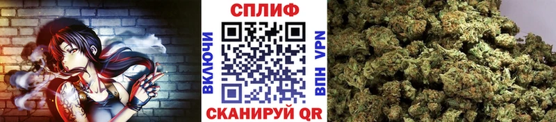 купить   Мариинский Посад  Бошки Шишки ГИДРОПОН 